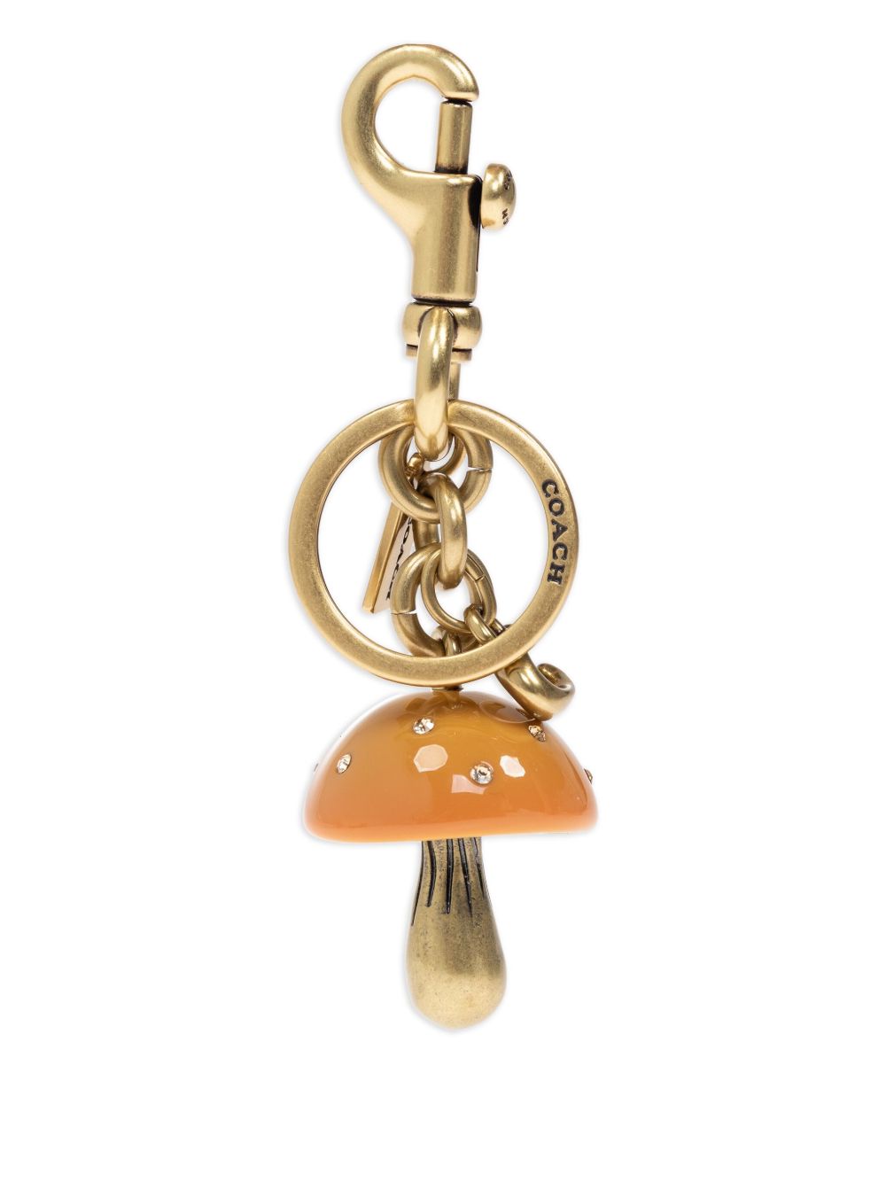 Coach Accessories Golden