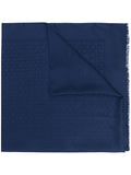 Ferragamo Scarfs Blue