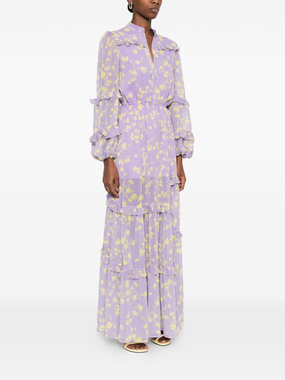 Catalina Chiffon long dress