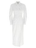 Max Mara Balzac Dress