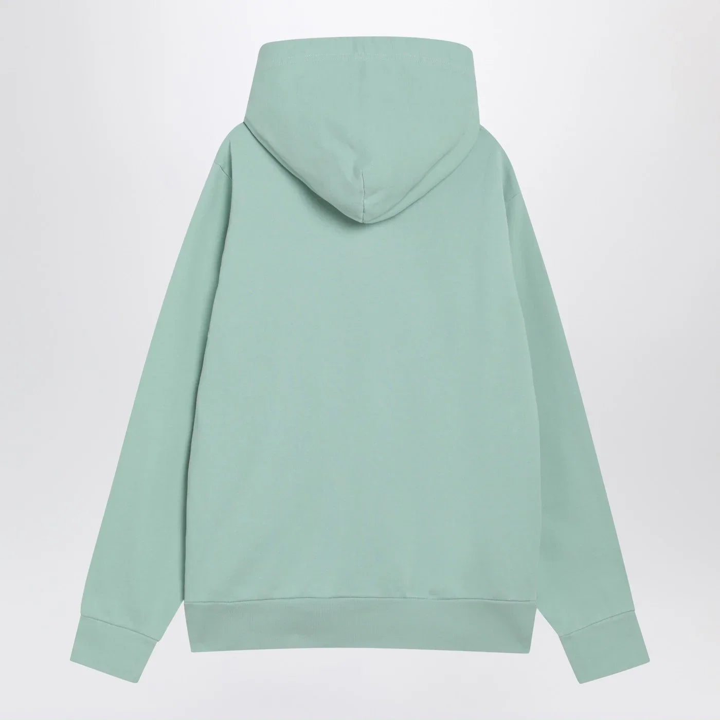 Polo Ralph Lauren Aquamarine cotton hoodie