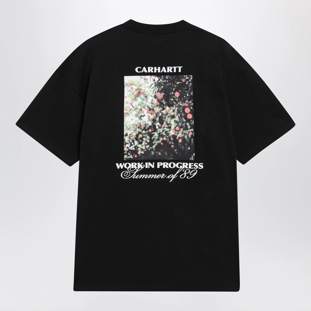 Carhartt WIP S/S Warm Views T-shirt in organic cotton, black