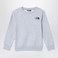 The North Face Grey plush cotton sweatshirt